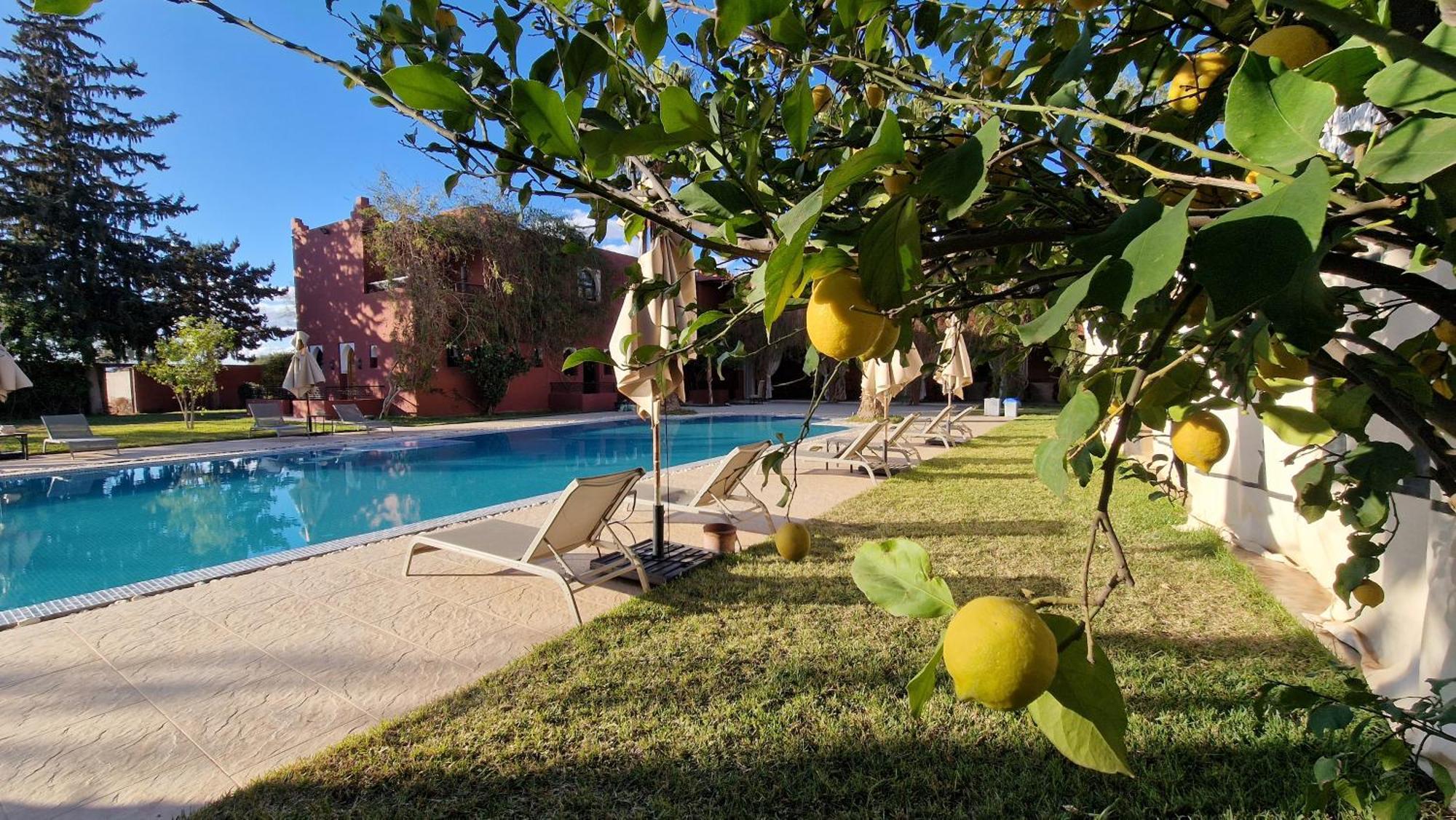 Palace Africa - Marrakech Palmeraie Dar Ilham Douar Blidene Eksteriør billede